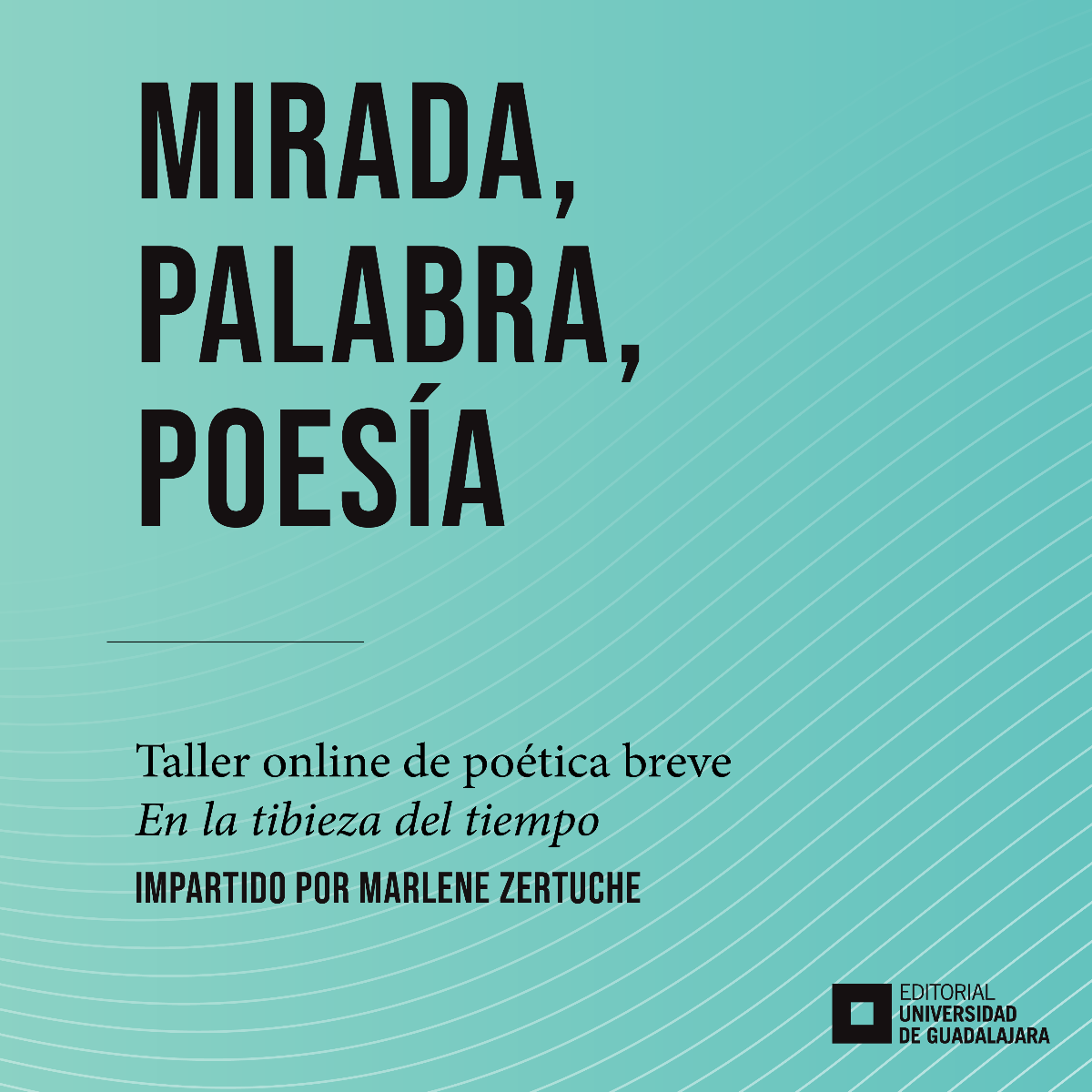 Mirada, palabra, poesía